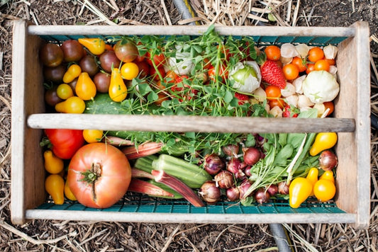 Seasonal Vegetables Series: Vegetables of January